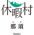 Partner 21